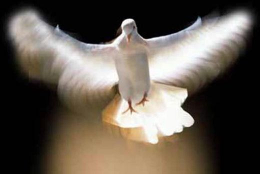 the Holy Ghost as Dove