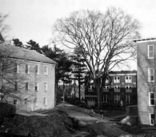 marynook courtyard