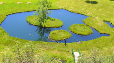 floating islands