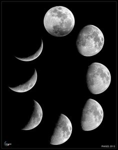 lunar cycle