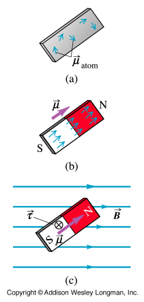 mangets in magnetic field