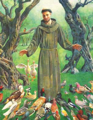 St Francis